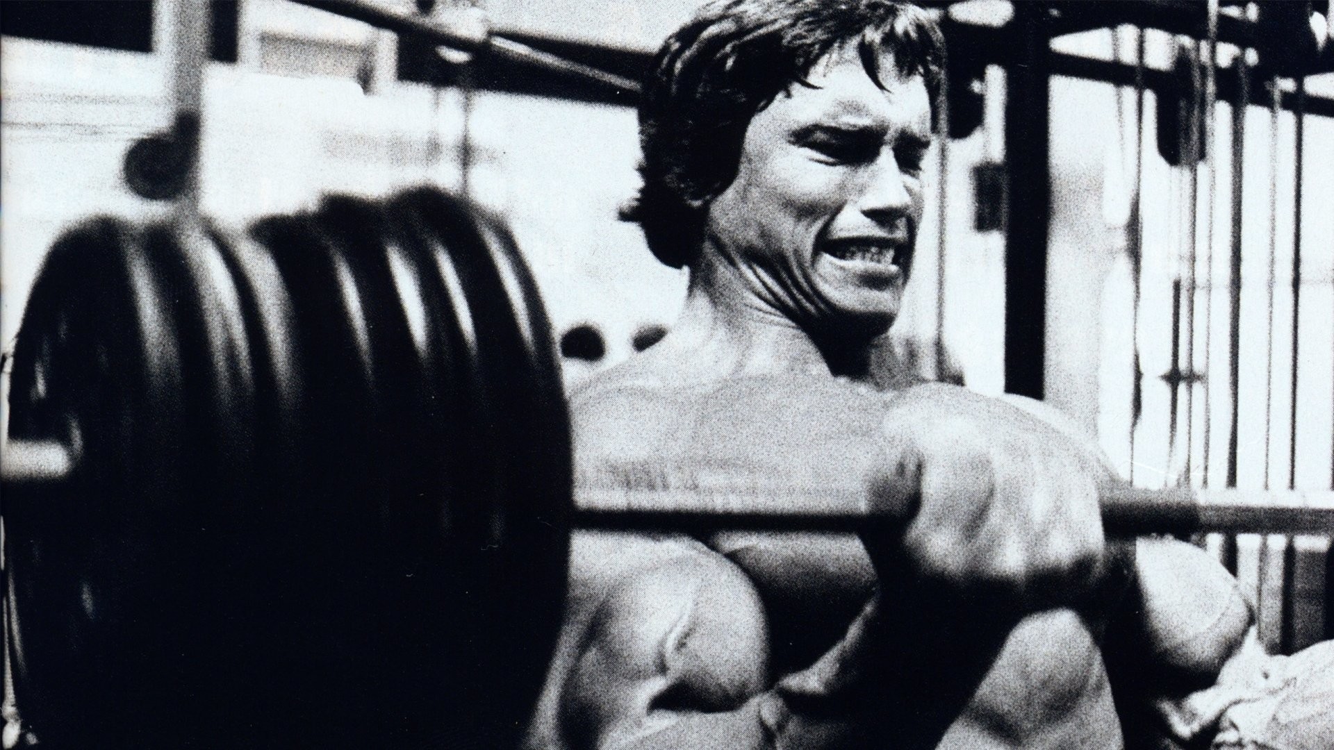 Widescreen Arnold Wallpaper