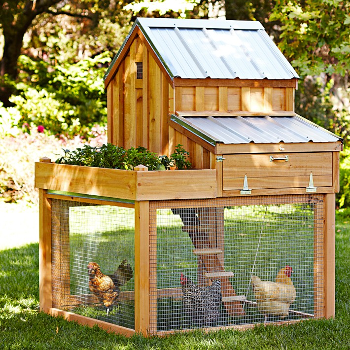 Chicken Coops Homestead Style