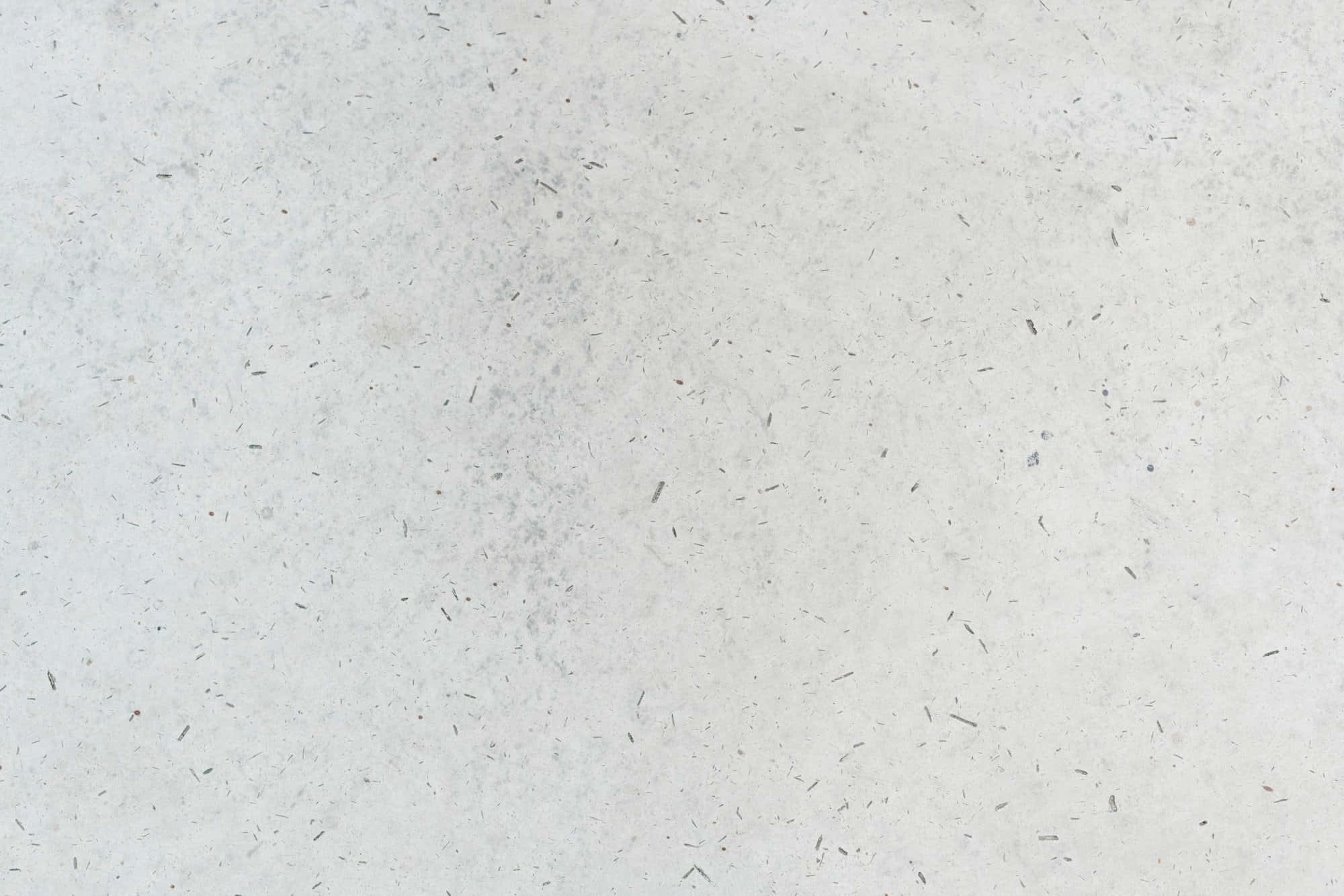Concrete Texture Picture Wallpaper