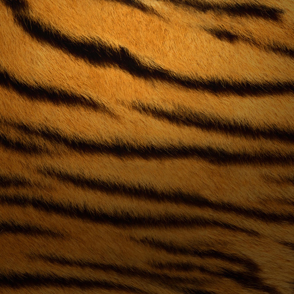 iPad Wallpaper Tiger Texture Animal Mini