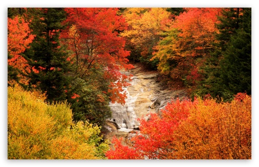 Blue Ridge Parkway North Carolina Autumn HD Wallpaper For Standard