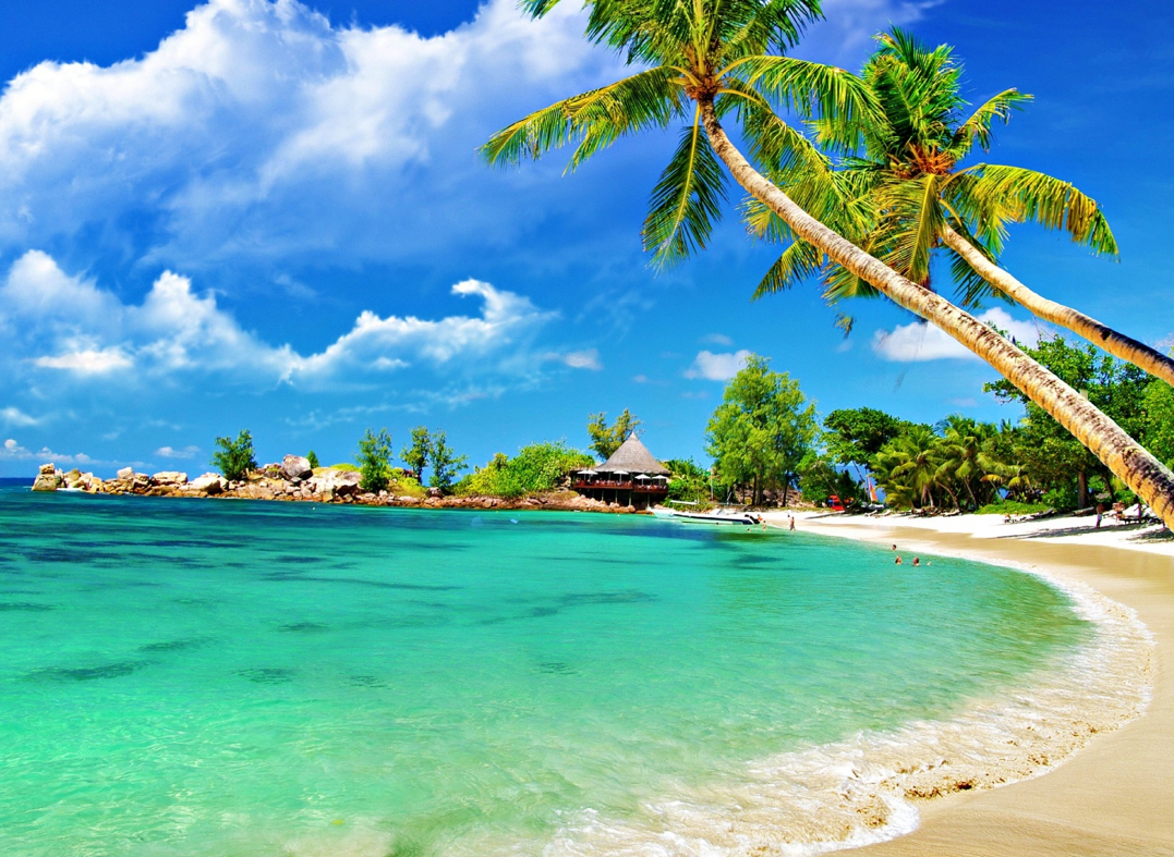 Sfondi HD Spiaggia Tropicale Pc Wallpaper Desktop