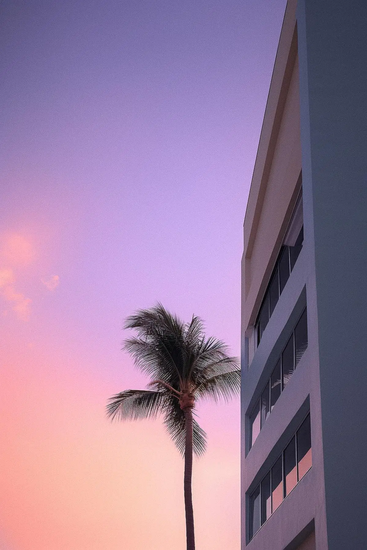 Elegant Aesthetic Wallpaper For iPhone