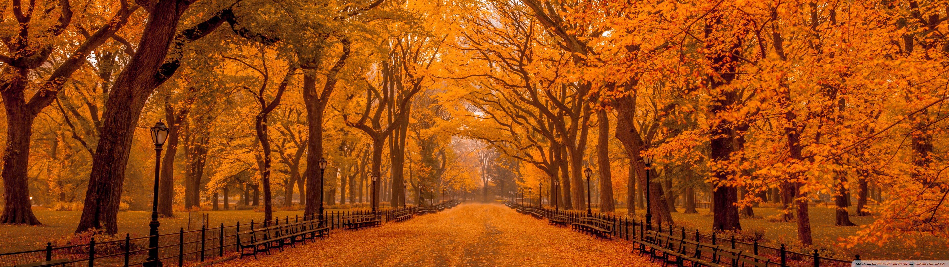 Beautiful Autumn Landscapes Of The World Ultra HD Desktop