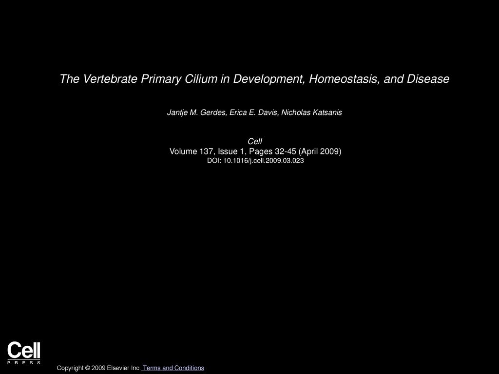 The Vertebrate Primary Cilium In Development Homeostasis And