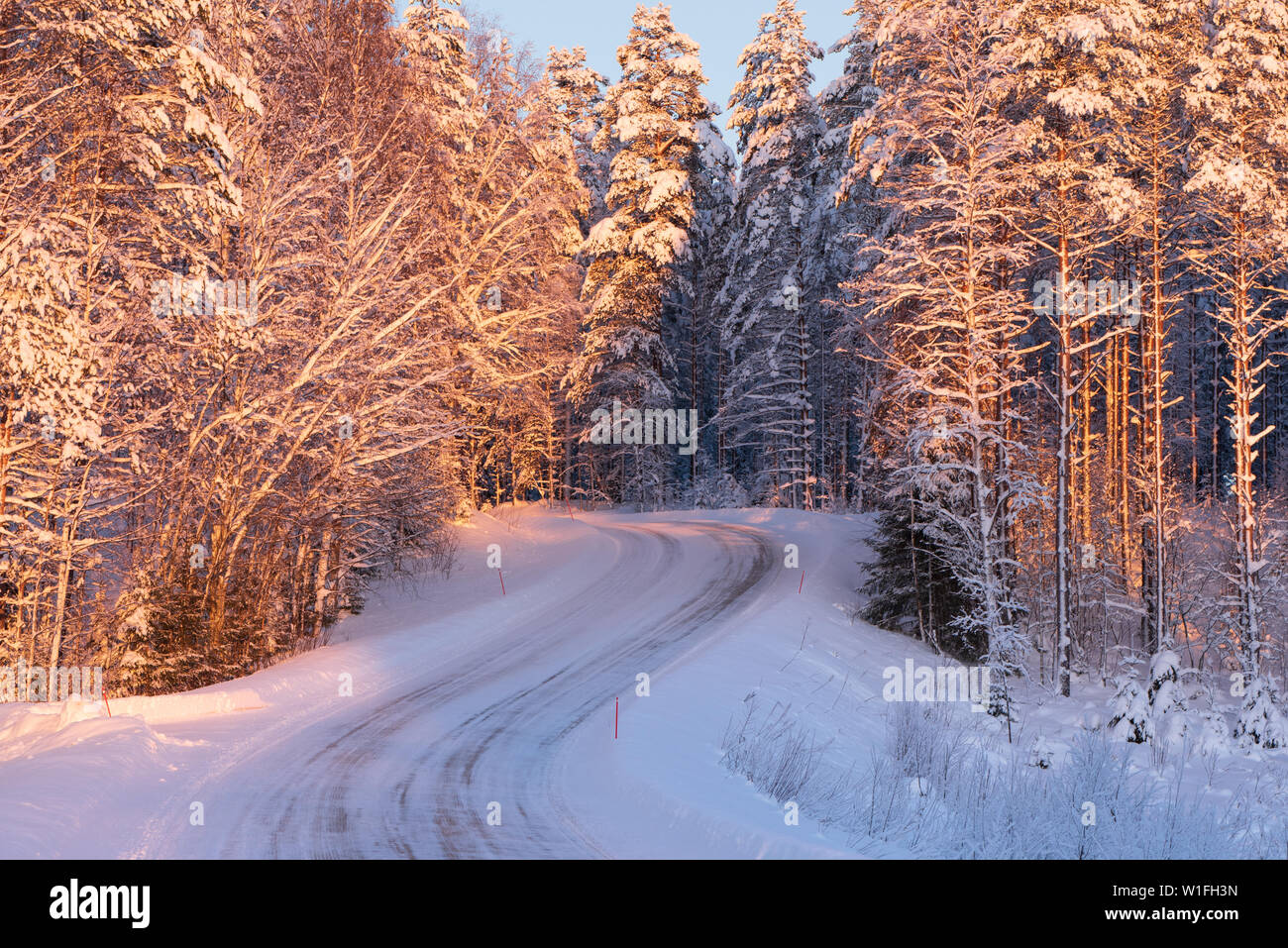 Snowy And Icy Road Winding Through Winter Forest Landscape Stock