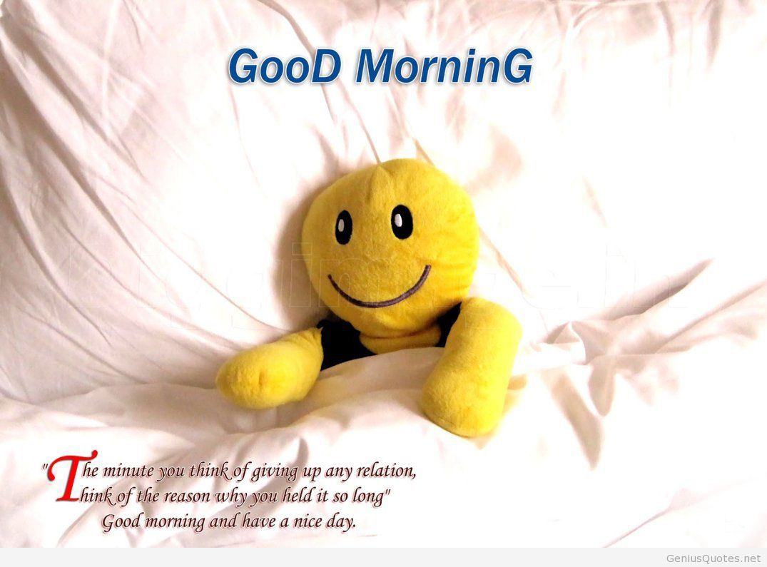 Free Download Good Morning Hd Funny Quote Wallpaper Free Download