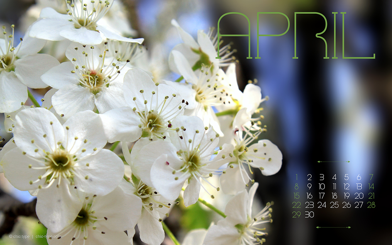 Free April Wallpapers The Chic Type Blog 1280x800
