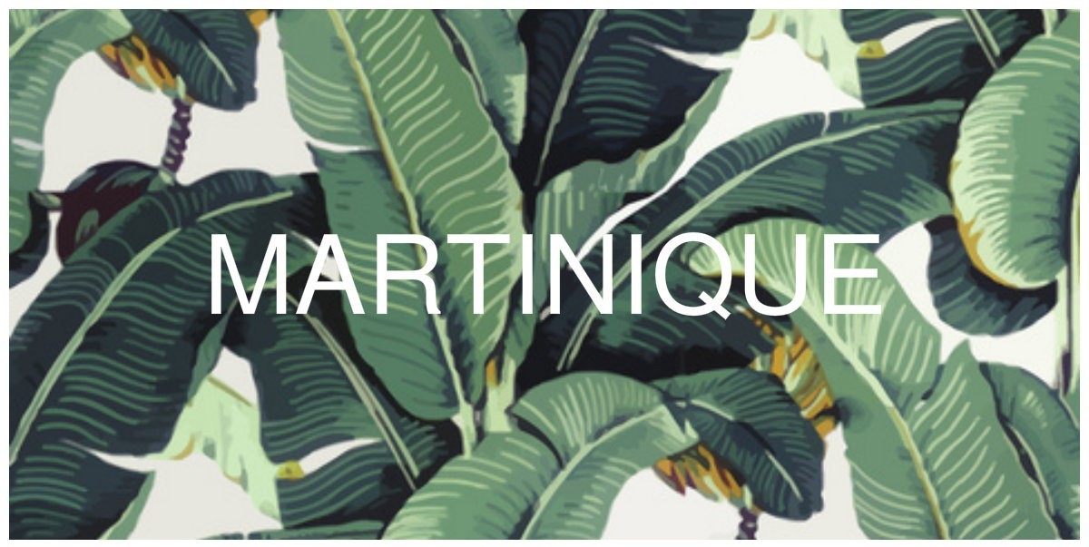 Bringing About Currently Loving Martinique Pattern