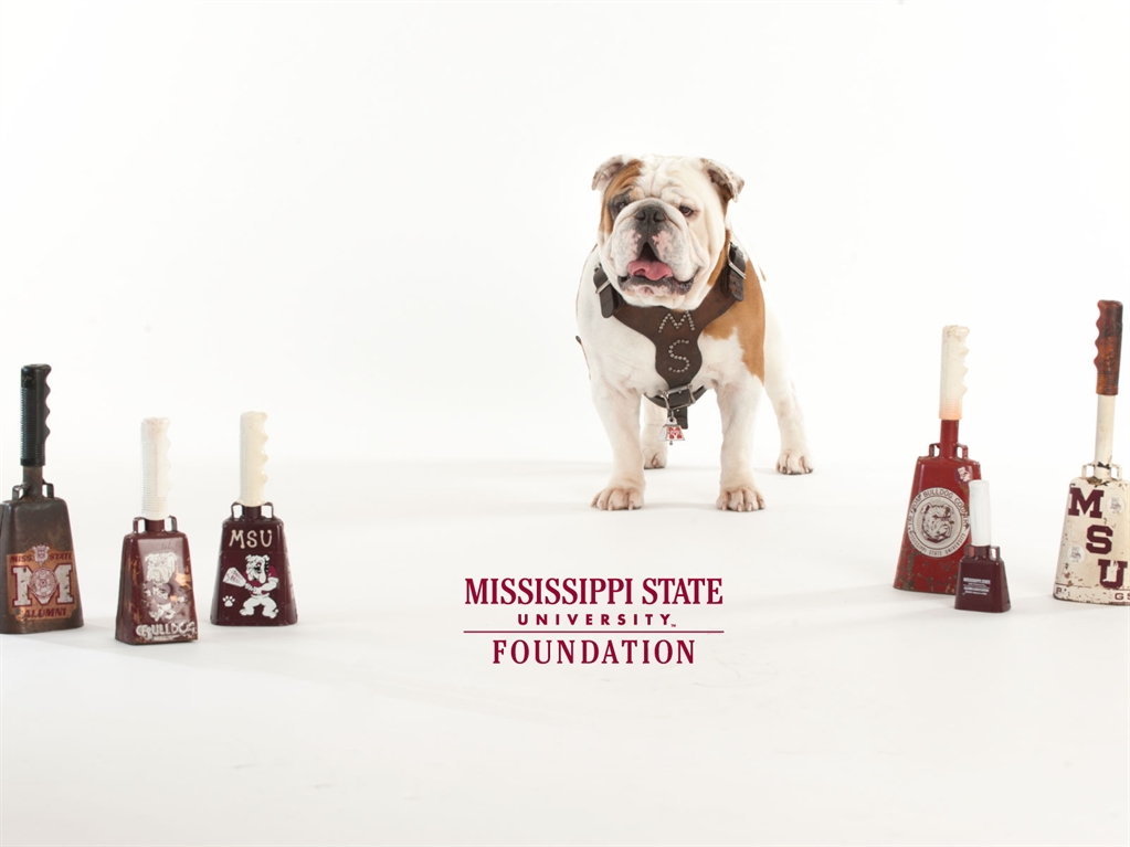 Mississippi State University Development And Alumni Wallpaper