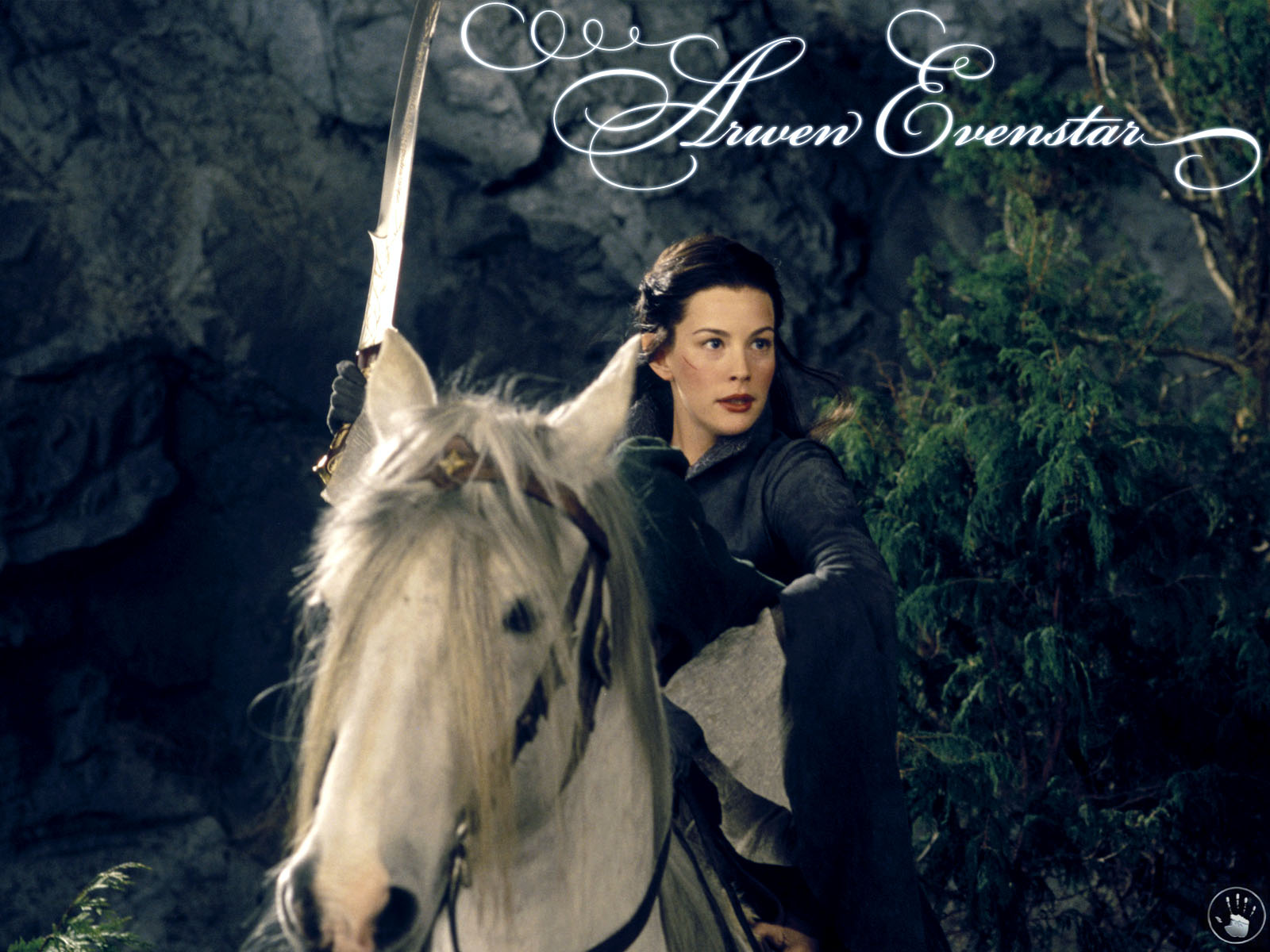Arwen Und Miel Image Fellowship Of The Ring