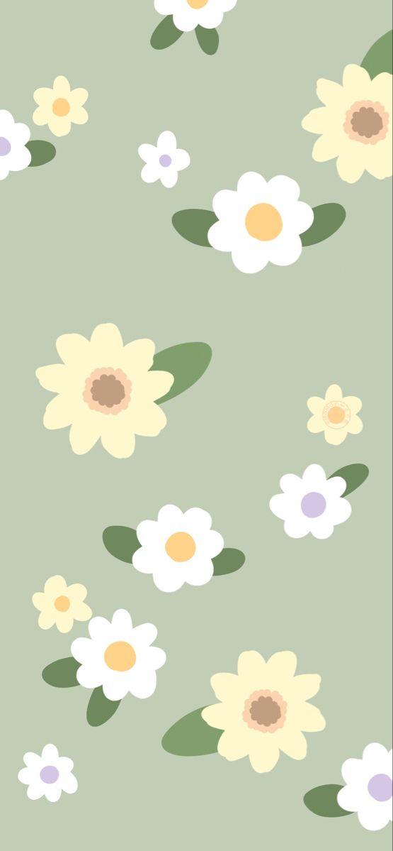 Paekaew on Wallpaper Flower background wallpaper Flower