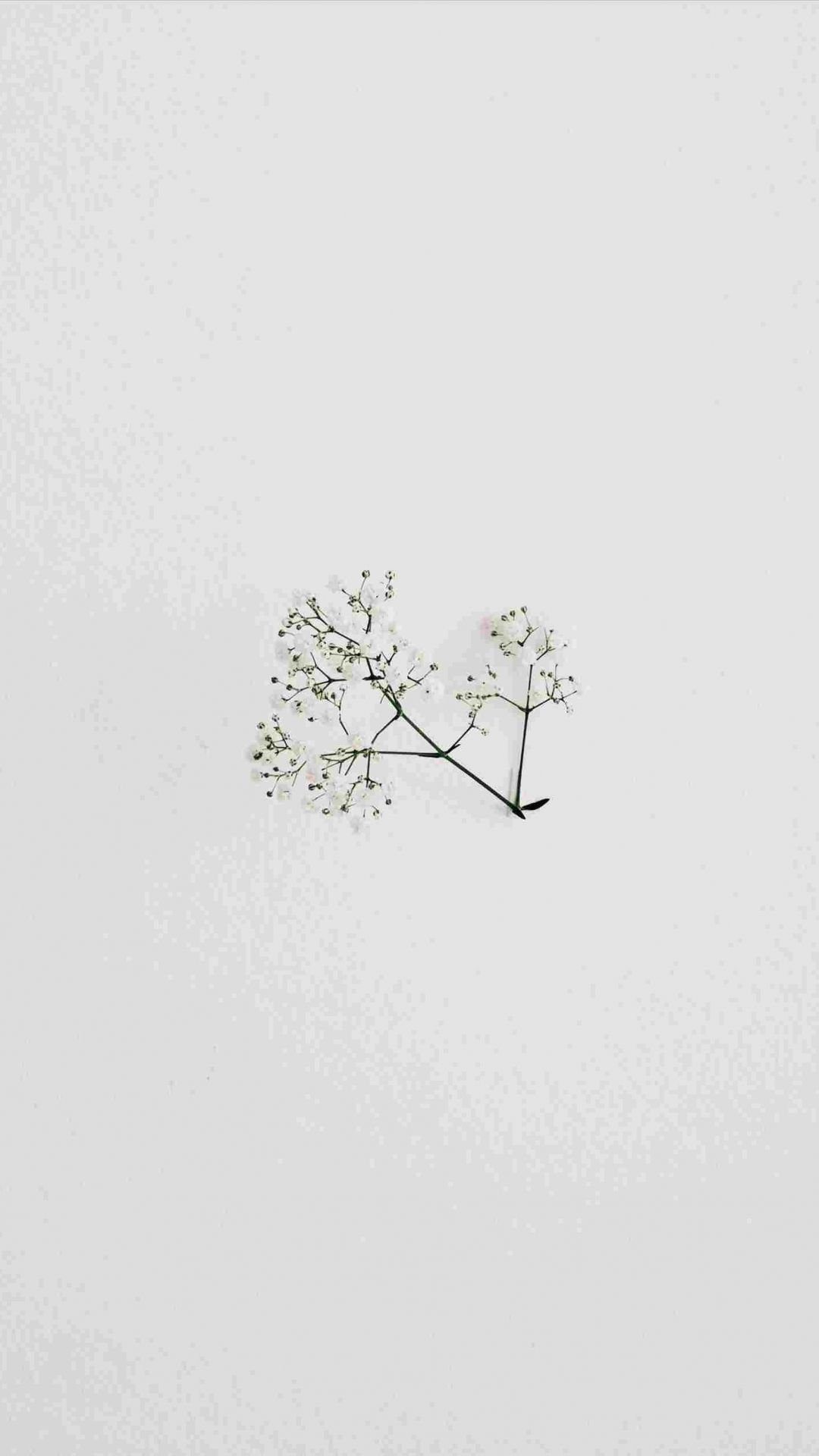 iPhone Aesthetic Minimalist Wallpaper HD