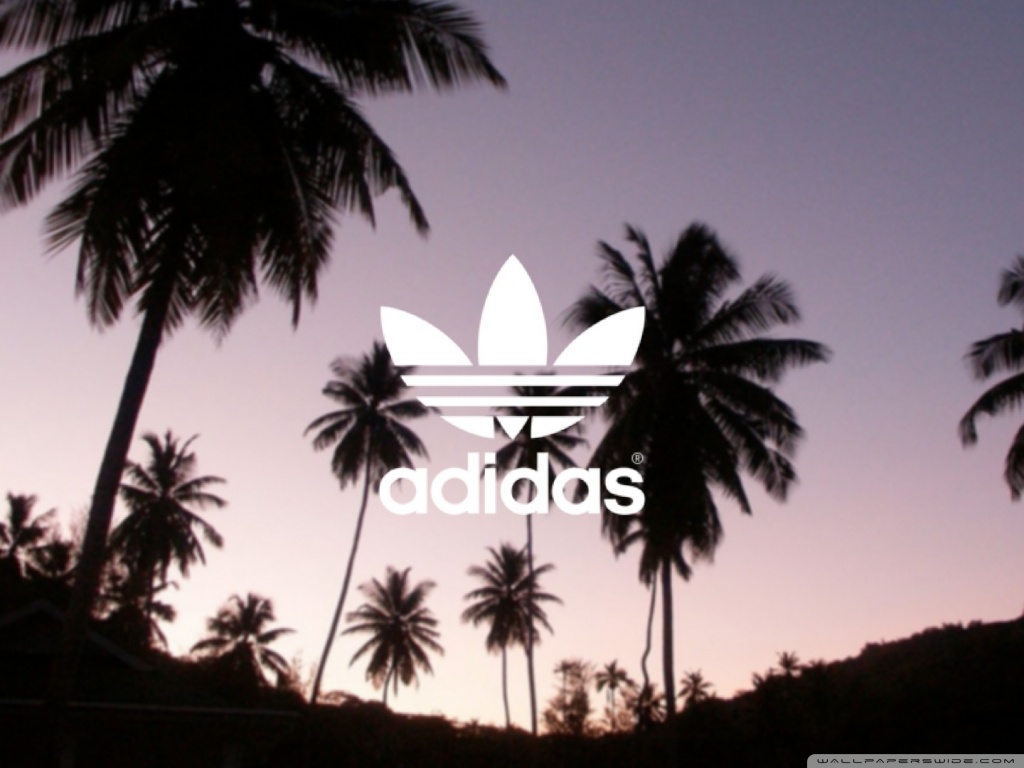 Adidas Palm Trees Background 4k HD Desktop Wallpaper For