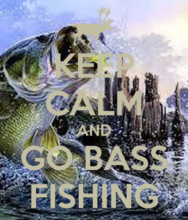 🔥 [49+] Bass Fishing Wallpaper for iPhone