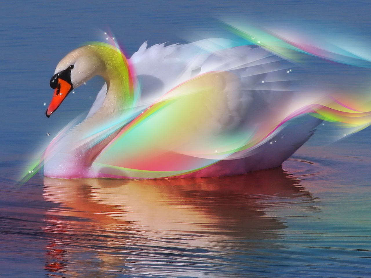 3d Swan Wallpaper With Image Size Large