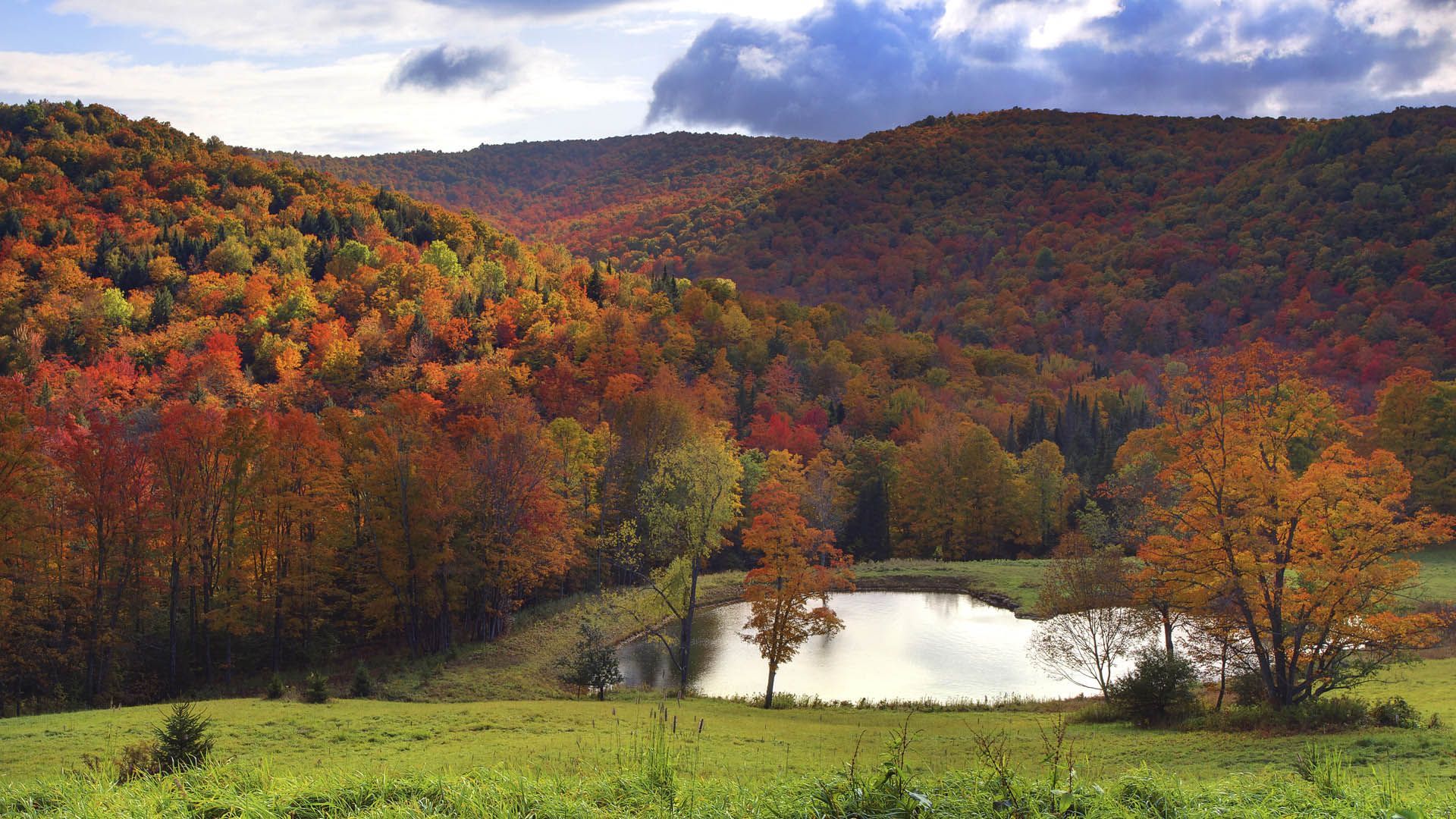 Vermont In Autumn Wallpaper