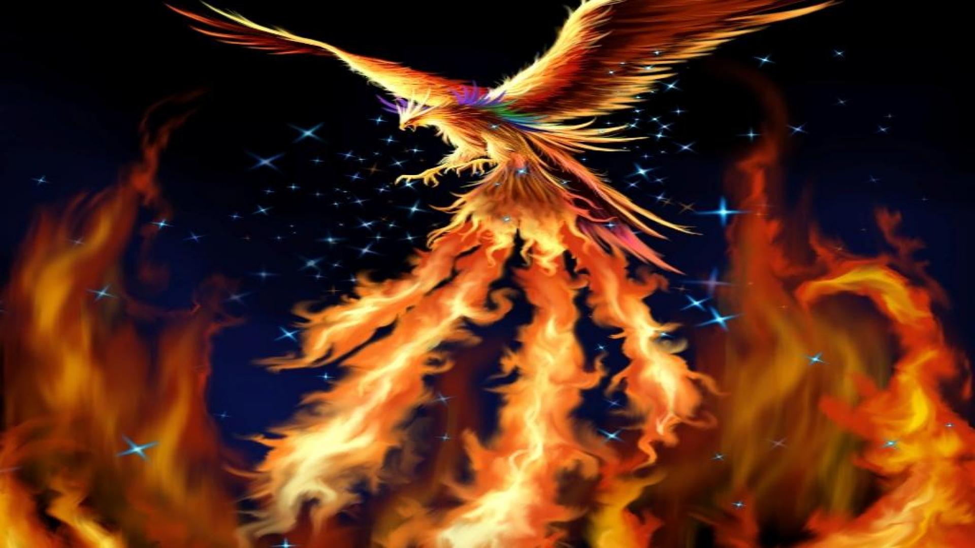 Phoenix Bird Wallpaper HD