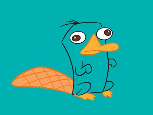 Perry The Platypus Wallpaper To Your Cell Phone Ferb
