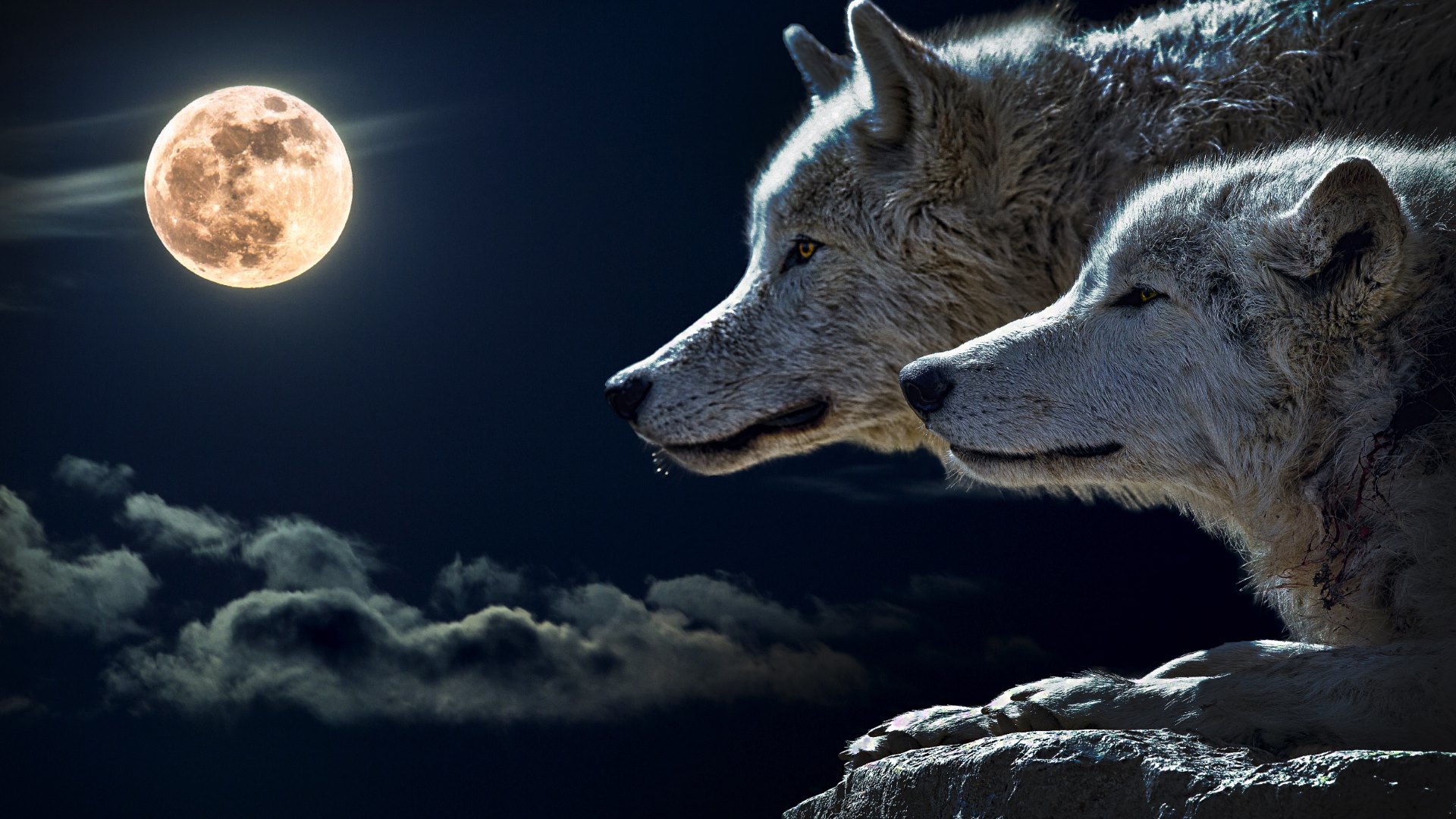 Wolves and Full Moon uhd wallpapers   Ultra High Definition Wallpapers