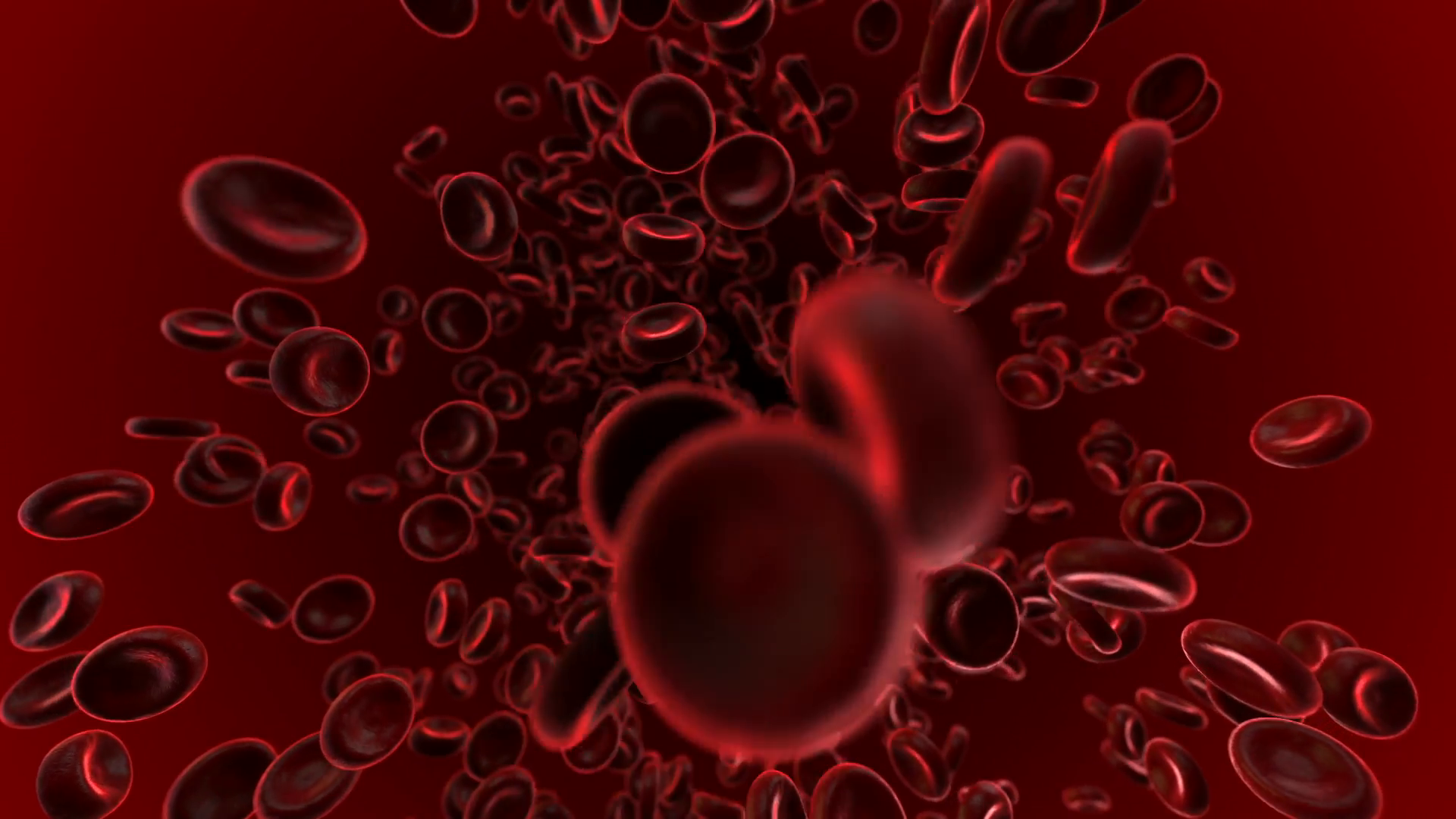 Loopable Animation Of Blood Cells Flowing Into Veins Motion