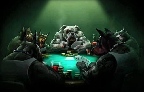 Popular Tags For This Image Include Dogs Poker And HD Wallpaper