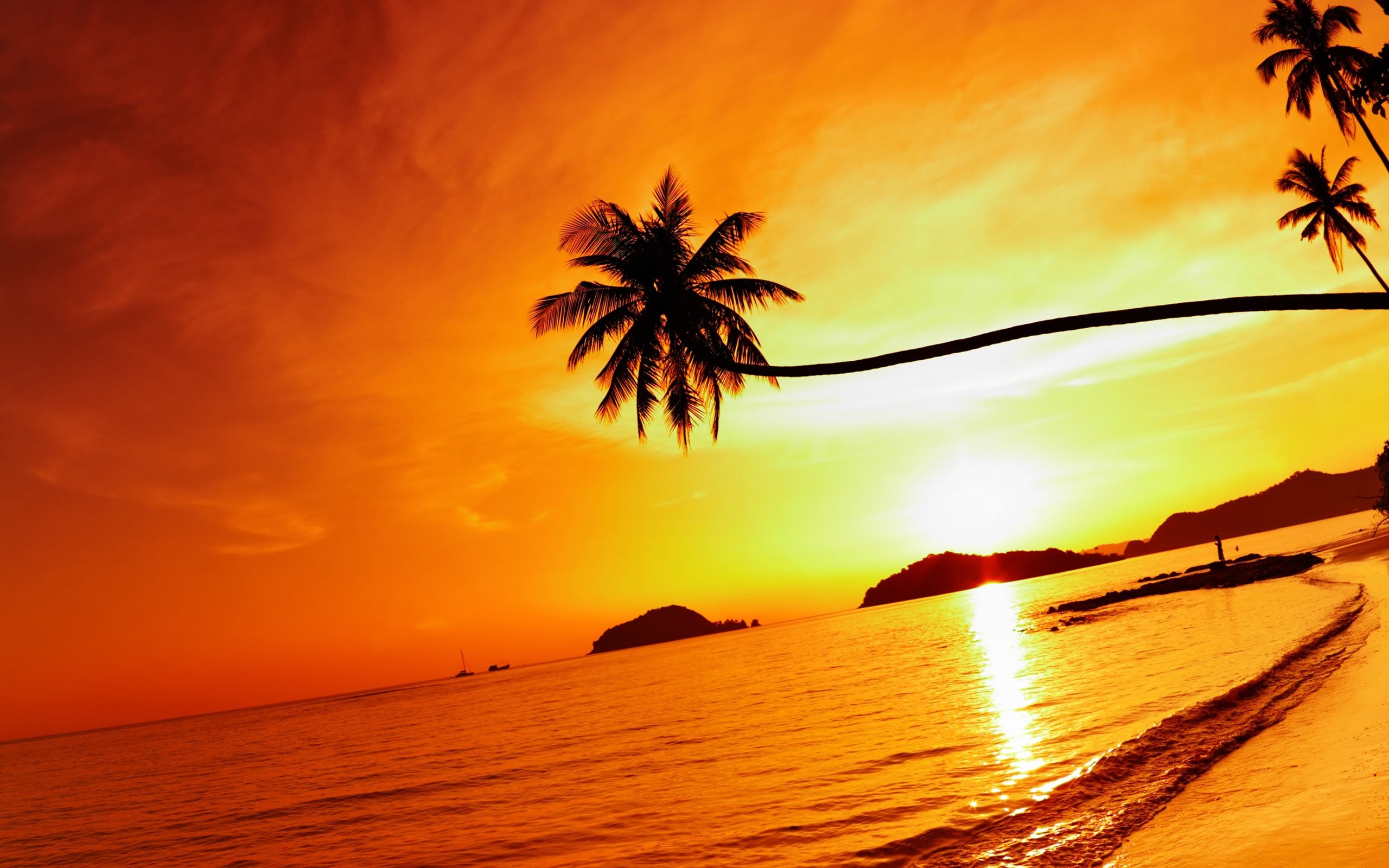 Tropical beach sunset Mak island Thailand Wallpaper HD Wallpapers 2560x1600