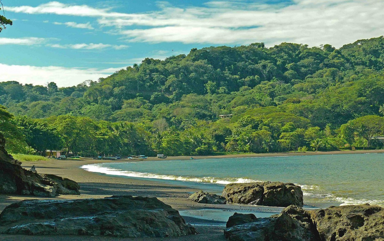 Jungle Ocean Rocks Costa Rica Wallpaper