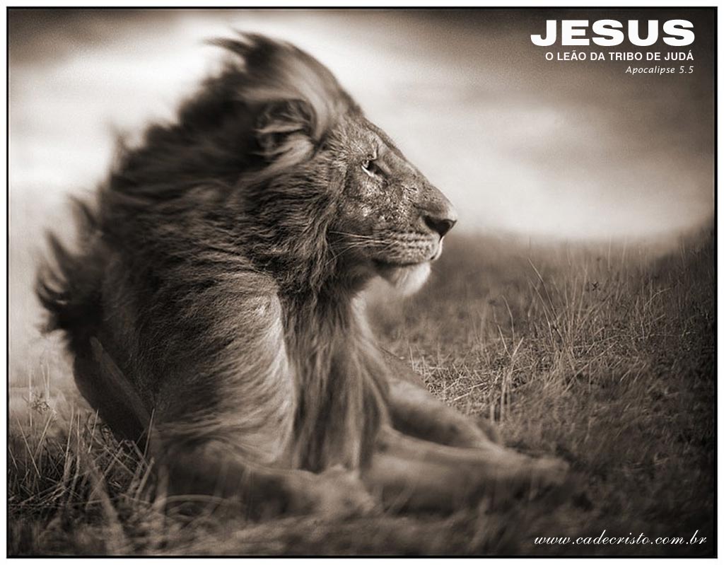 Jesus Lion Wallpaper Christian And Background