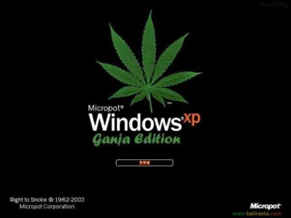 windows xp марихуана