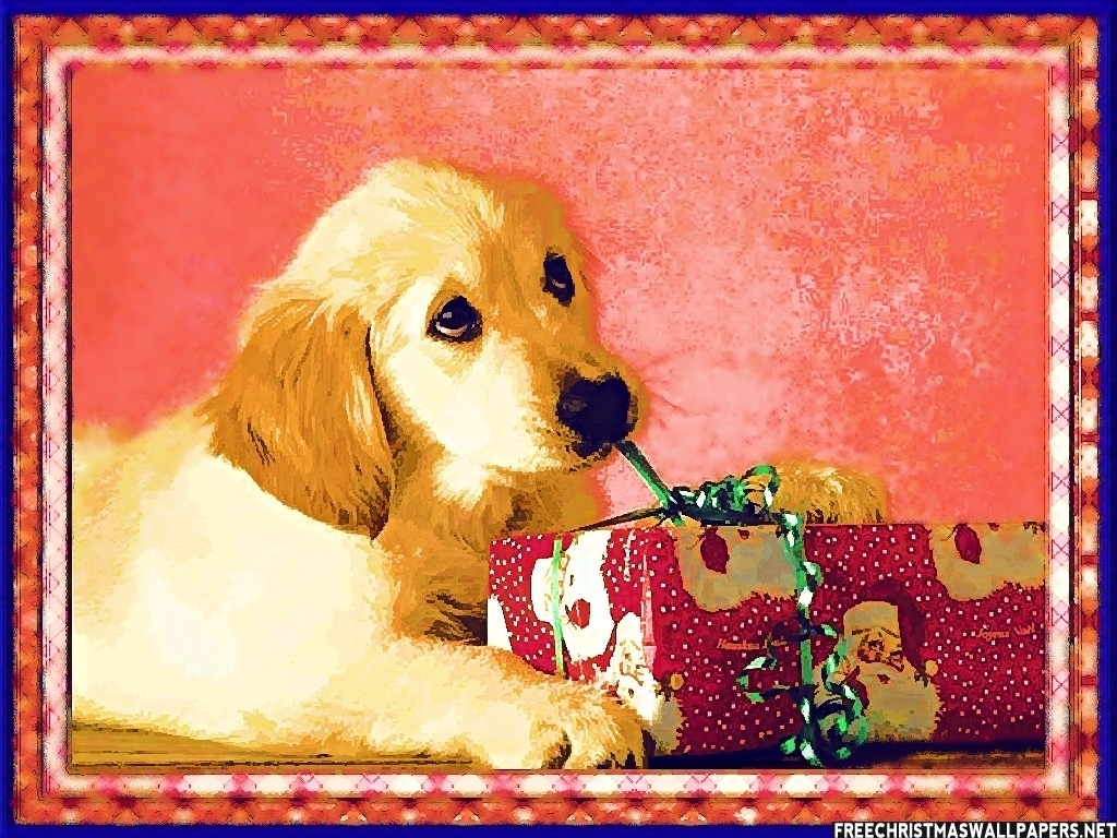 Christmas Puppy Dog Wallpaper Funny   Doblelolcom