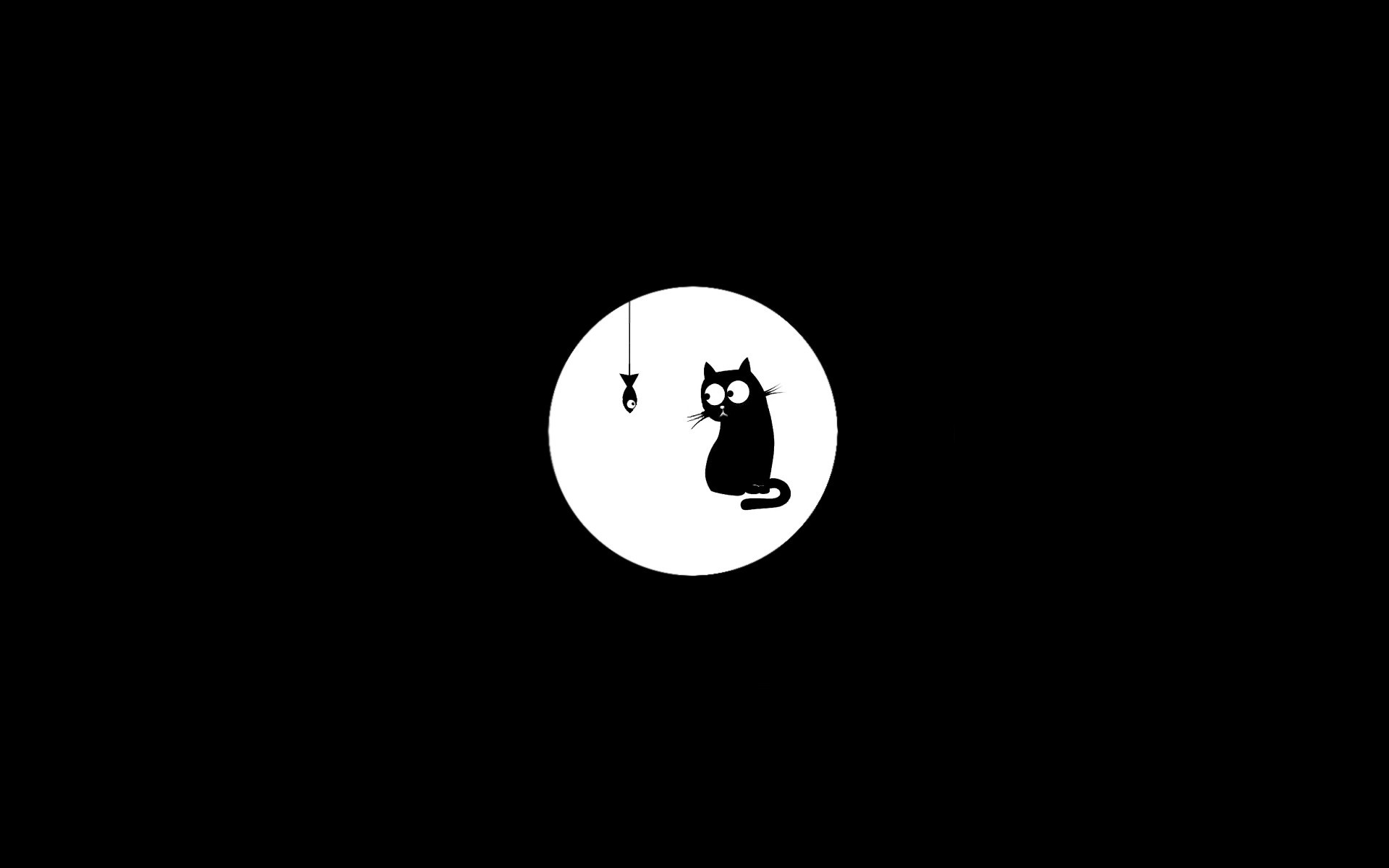 Black Cat Background Image