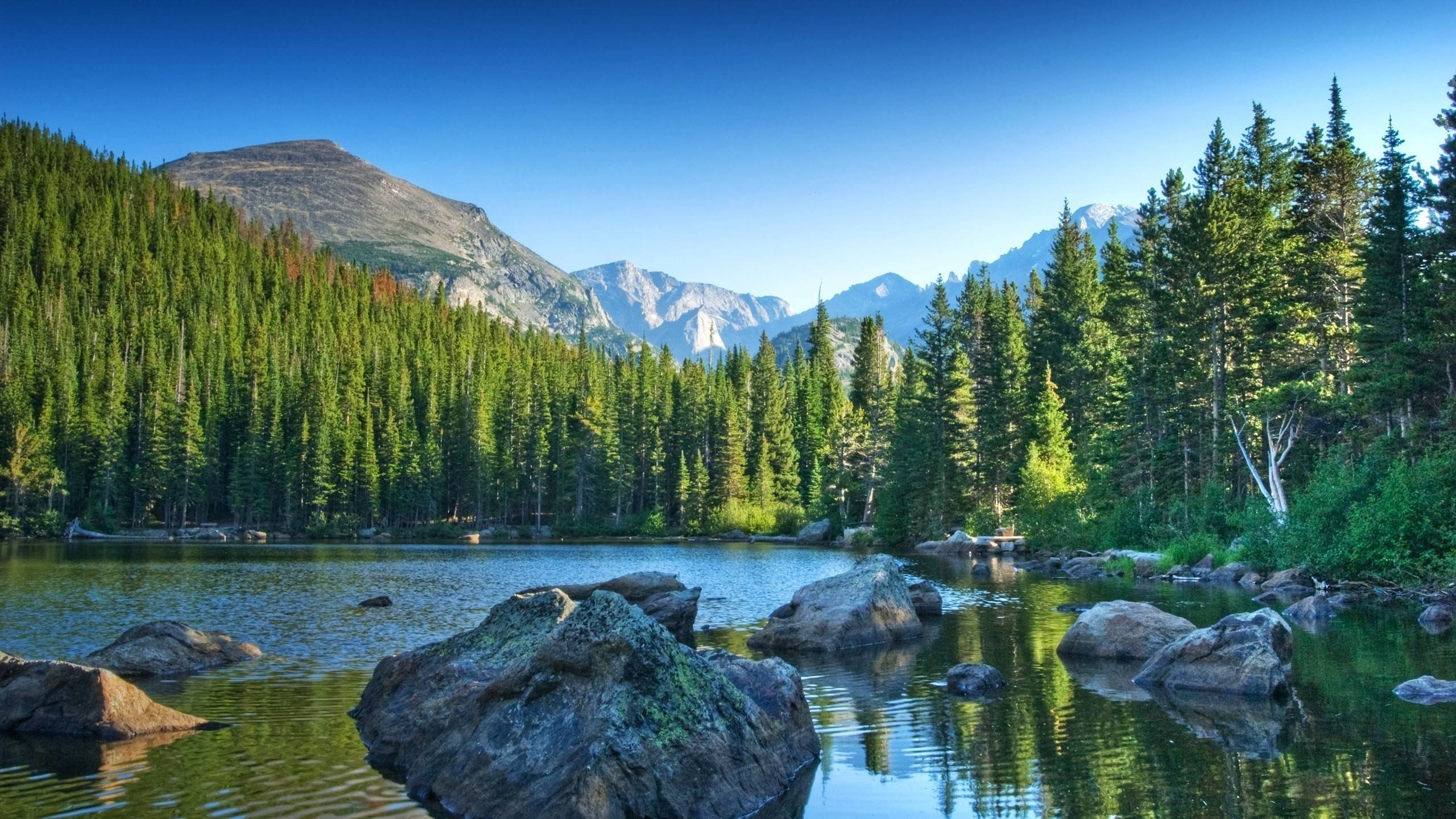 Mountains Landscape Nature Mountain Lake Forest Wallpaper HD