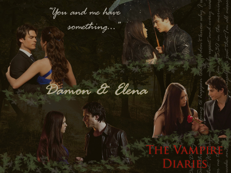 vampire diaries wallpaper damon Elena and Damon   The Vampire 800x600