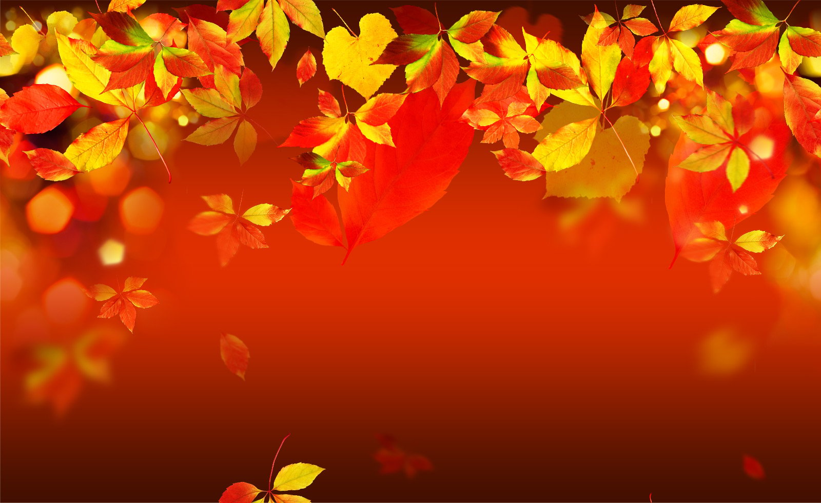 Autumn Leaves Background Free Wallpaper for