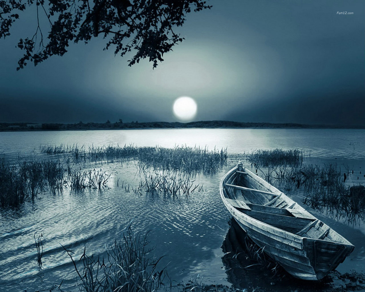 Best Wallpaper Desktop Collections
