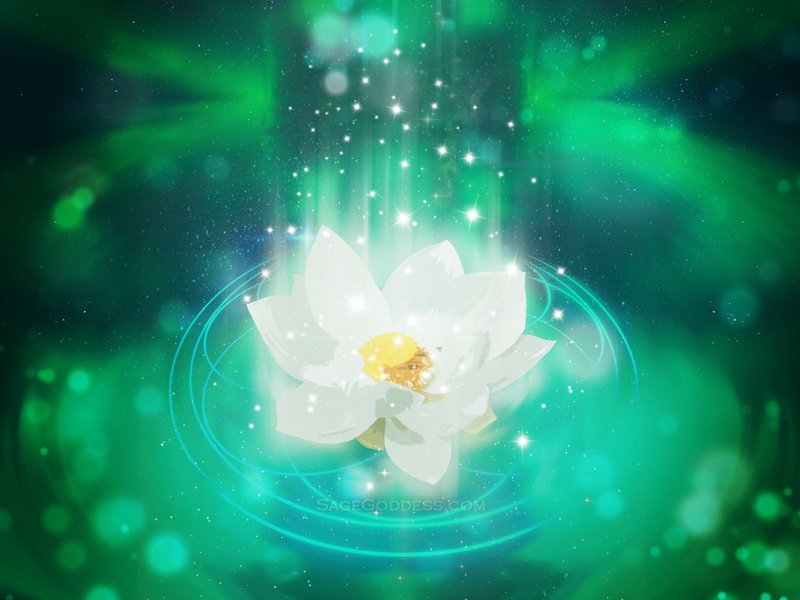 Custom Sage Goddess Able Lotus Flower Wallpaper