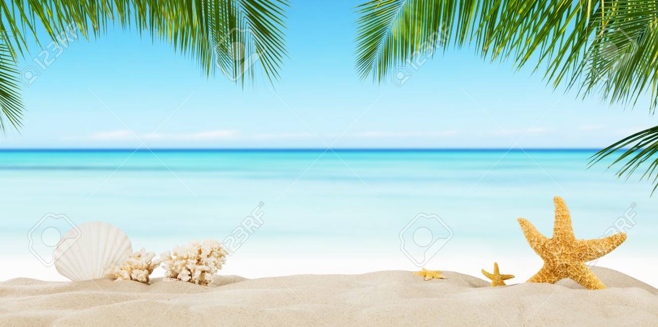 Tropical Beach With Sea Star On Sand Summer Holiday Background