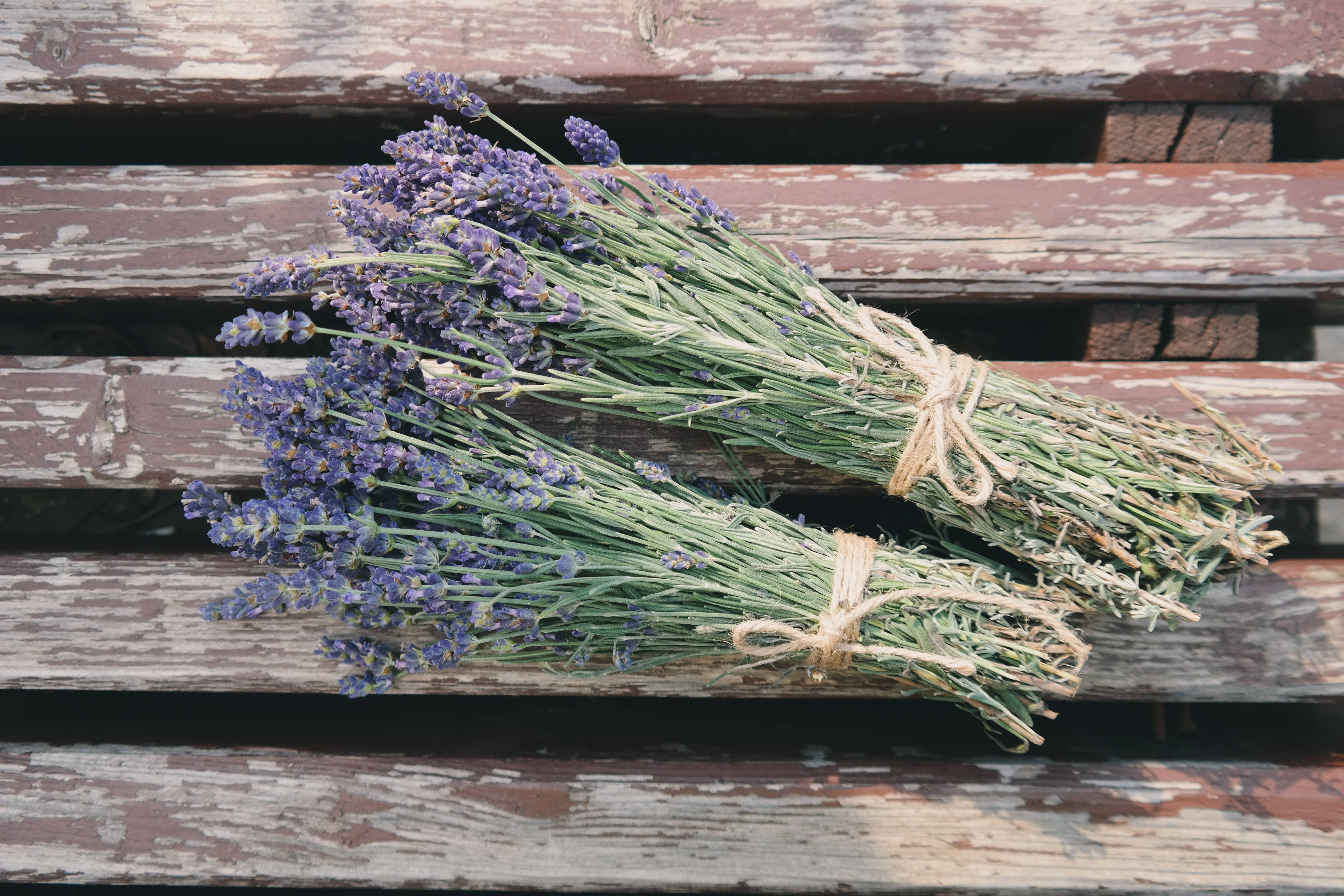 Lavender Desktop Wallpaper