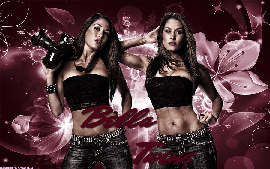 Free download wwe the bella twins images the bella twins wallpaper and  background 600x375 for your Desktop Mobile  Tablet  Explore 49 The  Bella Twins Wallpaper  Twins Wallpaper WWE The
