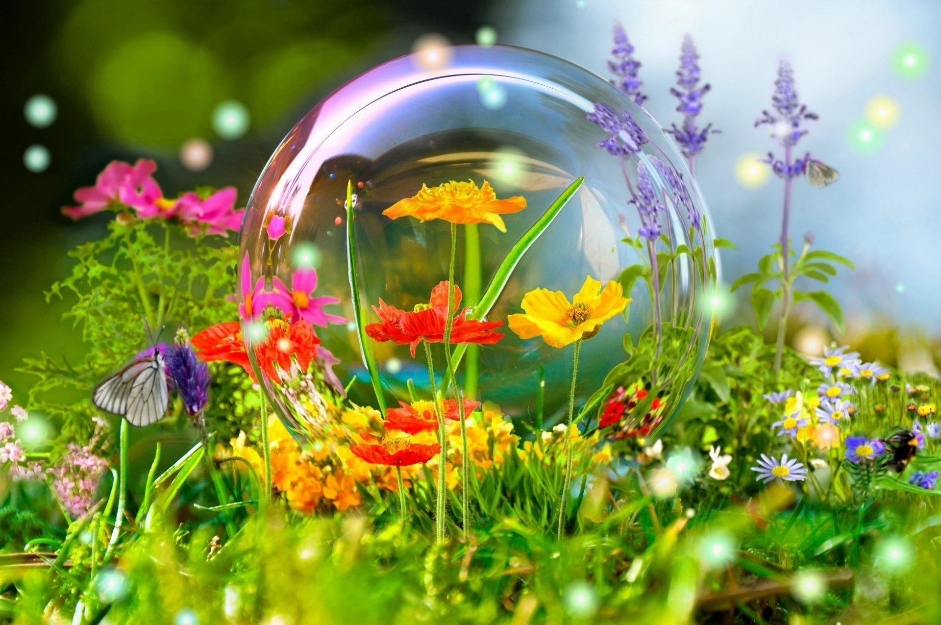 Nature Flower Wallpaper