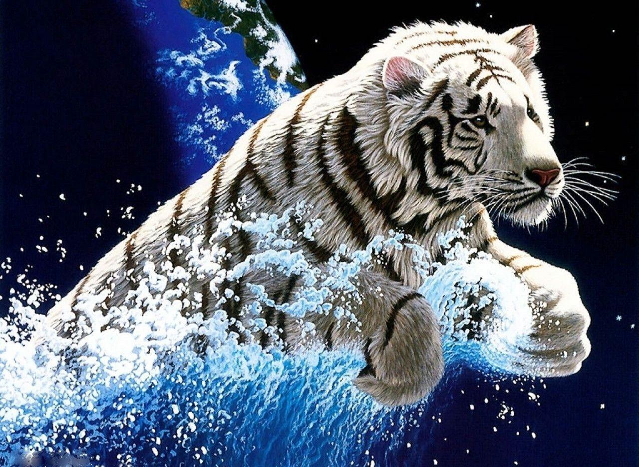 White Tiger Desktop Background