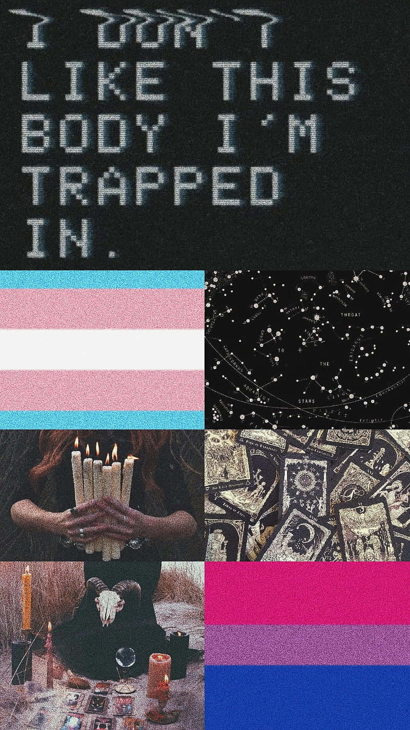Trans Pride Wallpaper