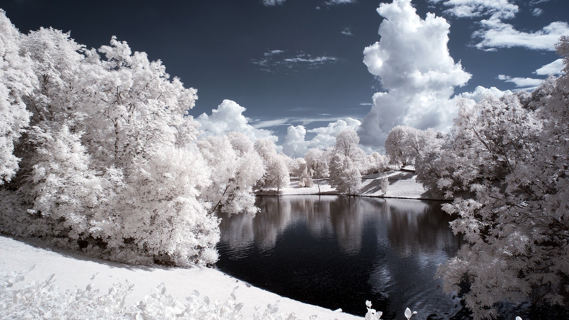 Simple Background Lake Pond Nature Snow Trees