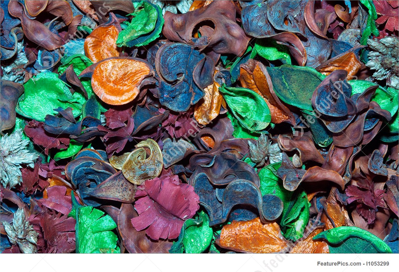 Plants Potpourri Background Stock Photograph I1053299 At