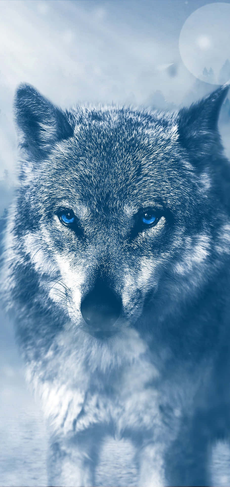 Make An Impact With The Wolf iPhone Wallpaper