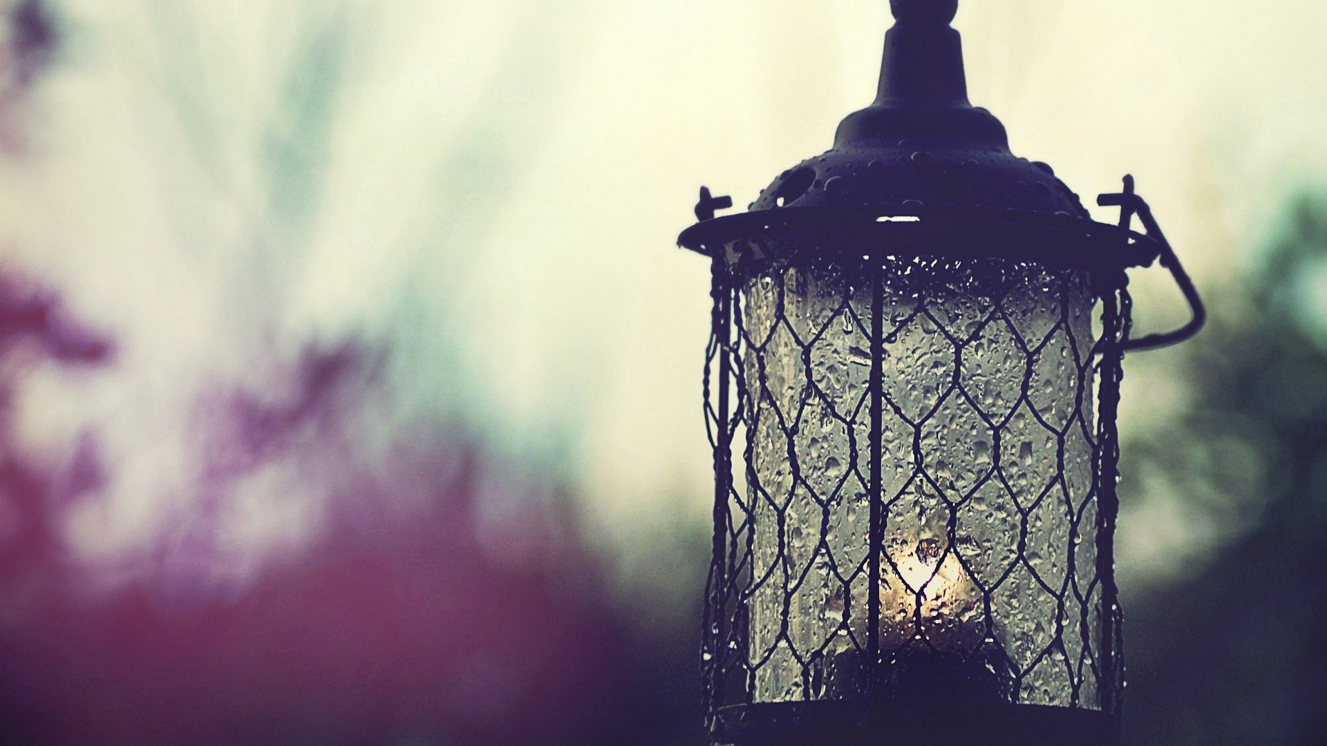 Lantern Wallpaper