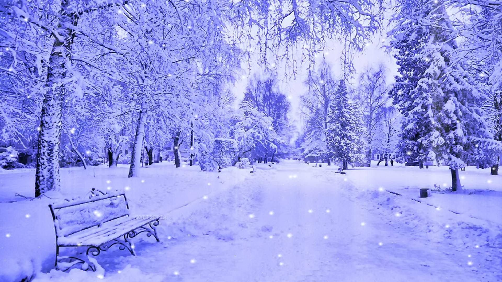 Enjoy The Tranquil Winter Scene Of Freshly Fallen Snow