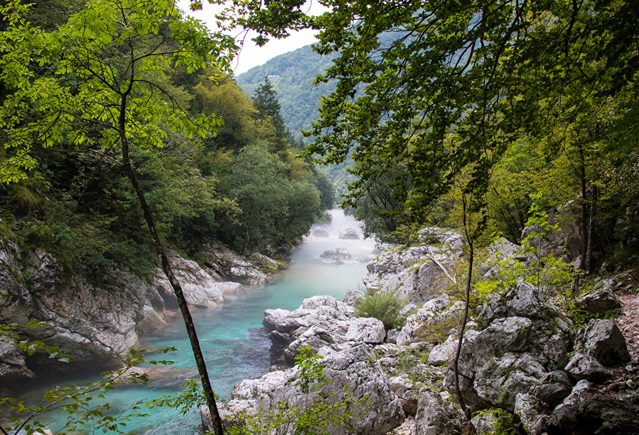 Wallpaper Slovenia river Soca Nature forest stone Rivers Branches