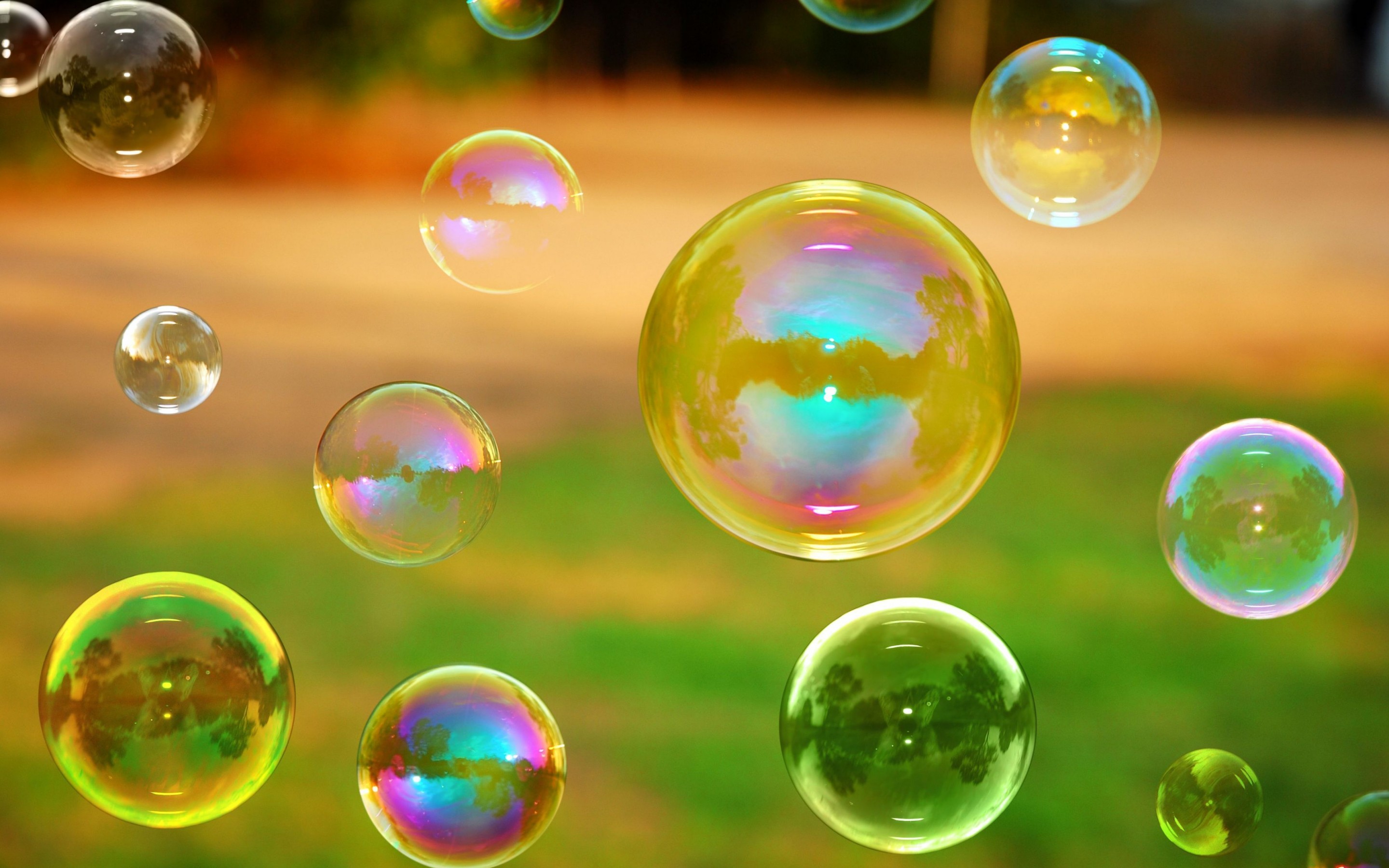 Bubble HD Wallpaper Background Image